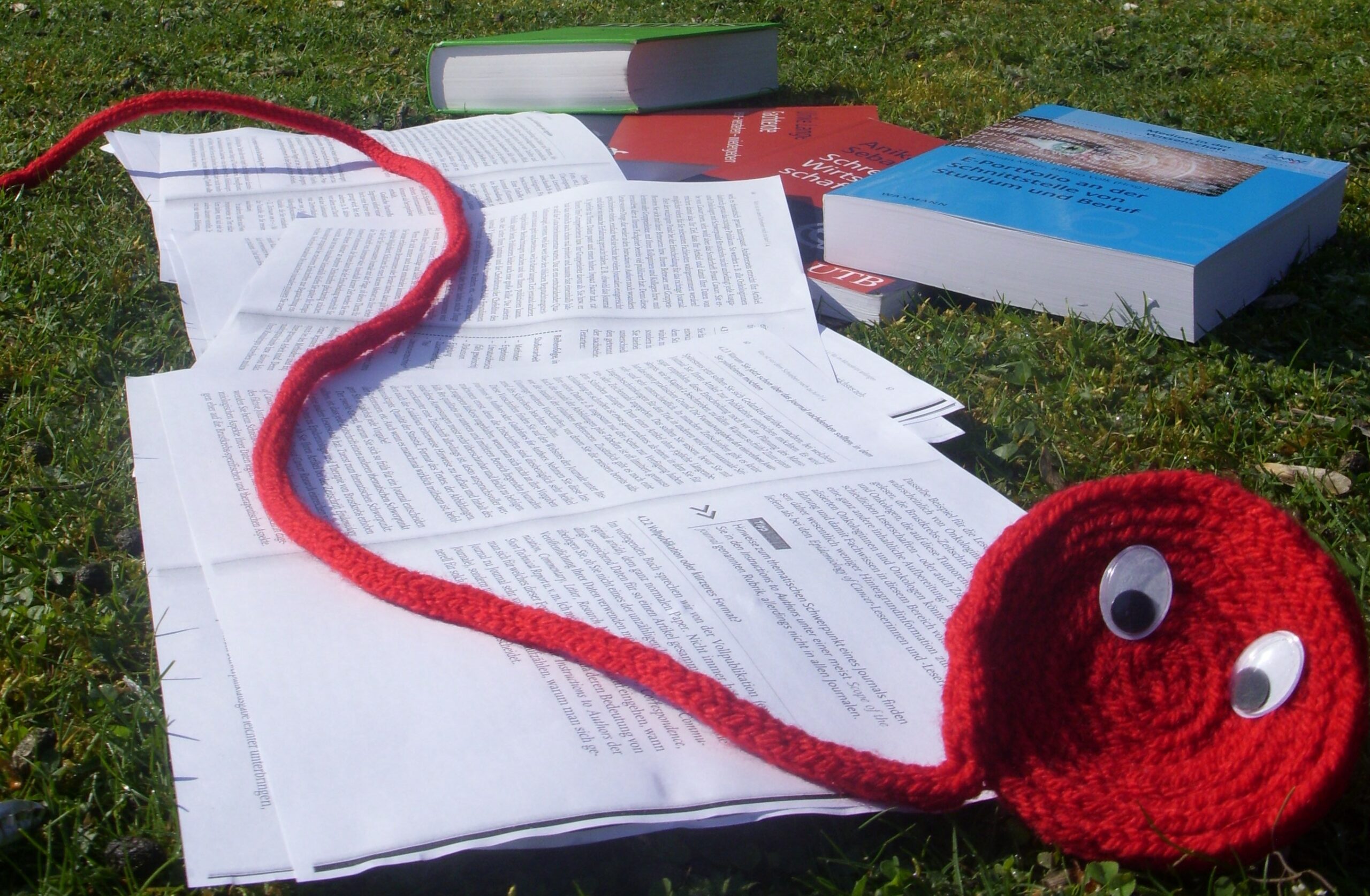 Verschiedene Bücher und Dokumente liegen auf der Wiese; auf den Unterlagen selbst liegt ein roter Faden.