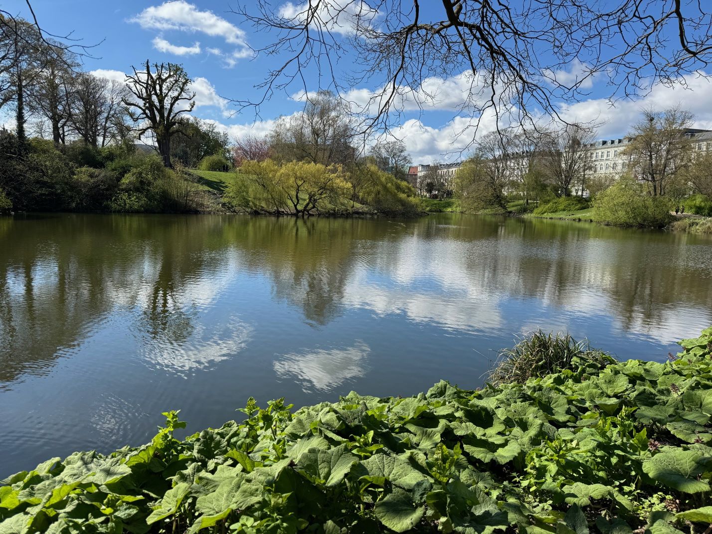 Stadtpark Malmö: Blick auf einen See, umrandet von Bäumen.