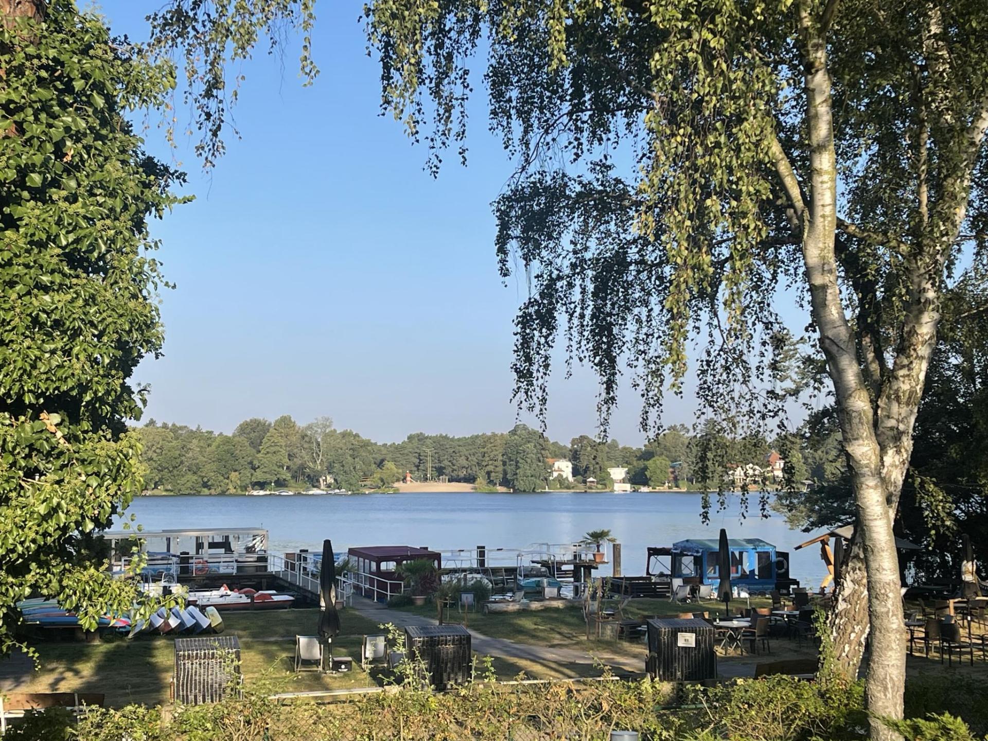 Blick auf einen Steg am See umgeben von Bäumen.