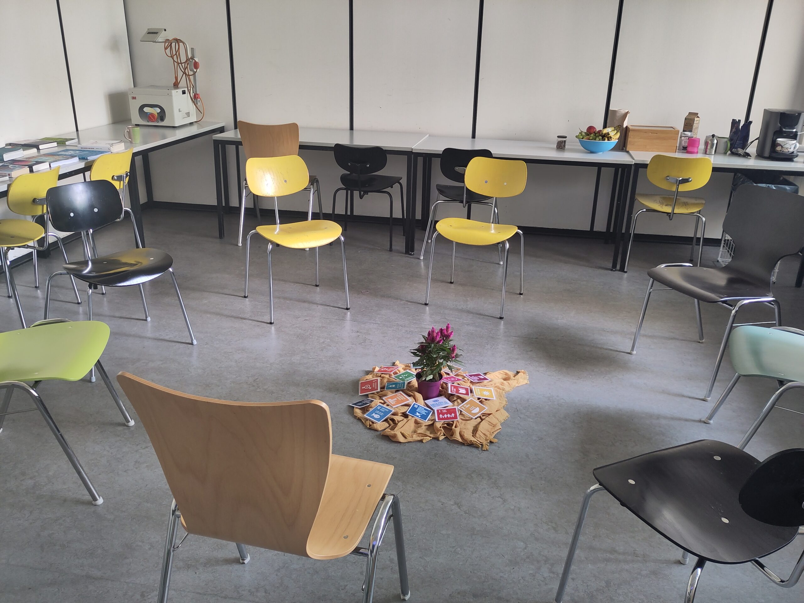 Stuhlkreis, in der Mitte eine Topfpflanze und verschiedene bunte Karten.