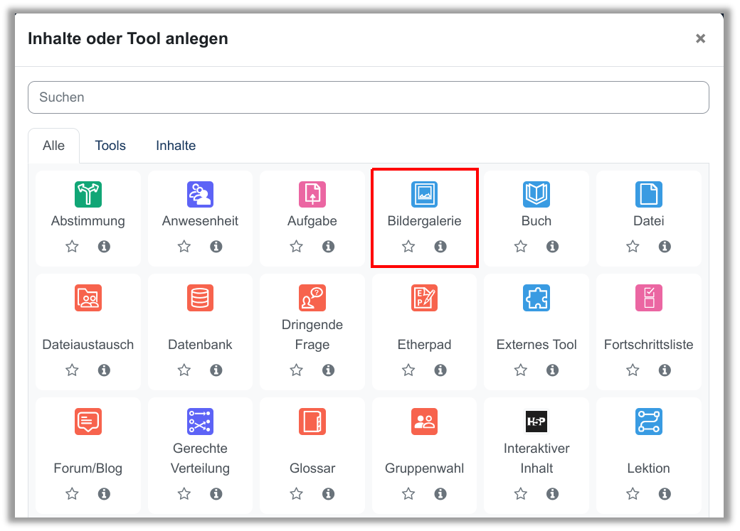 Die Bildergalerie in der Aktivitätenübersicht.