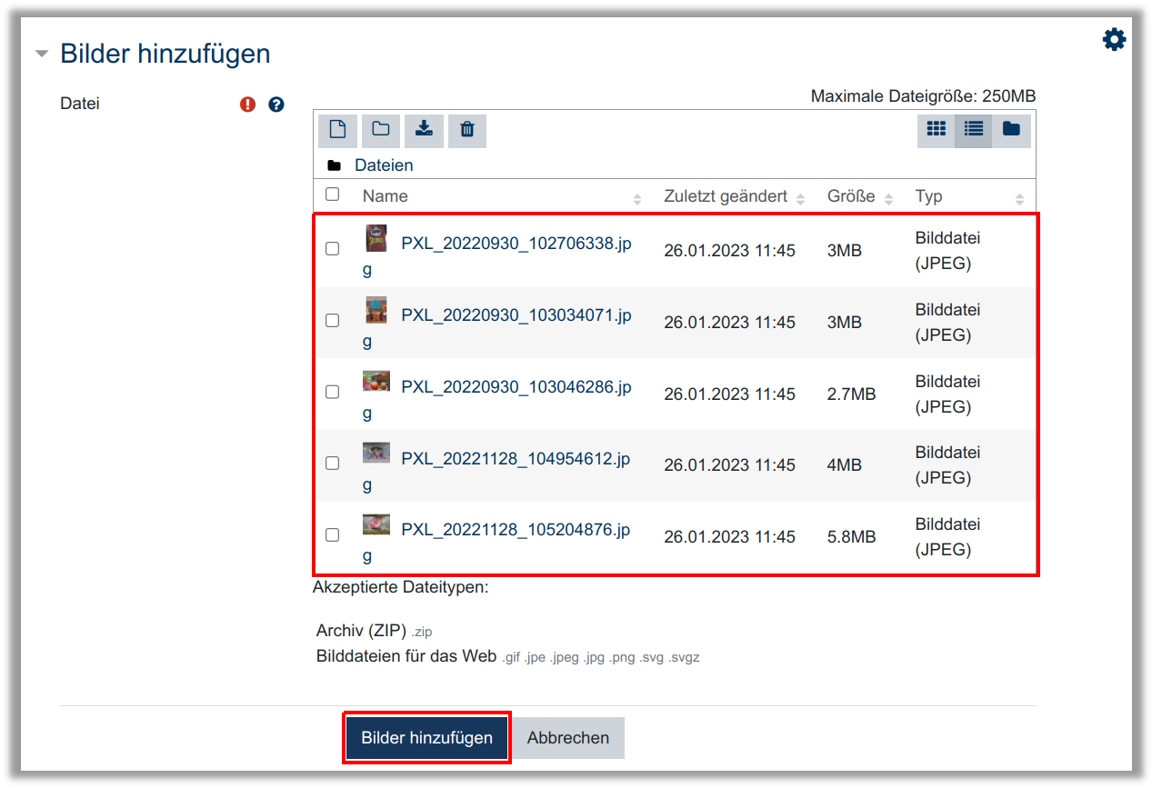 Bilder per Drag an Drop in die Galerie hochladen