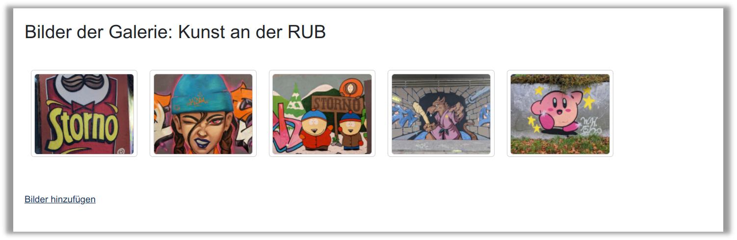 Eine Bildergalerie in einem Moodlekurs