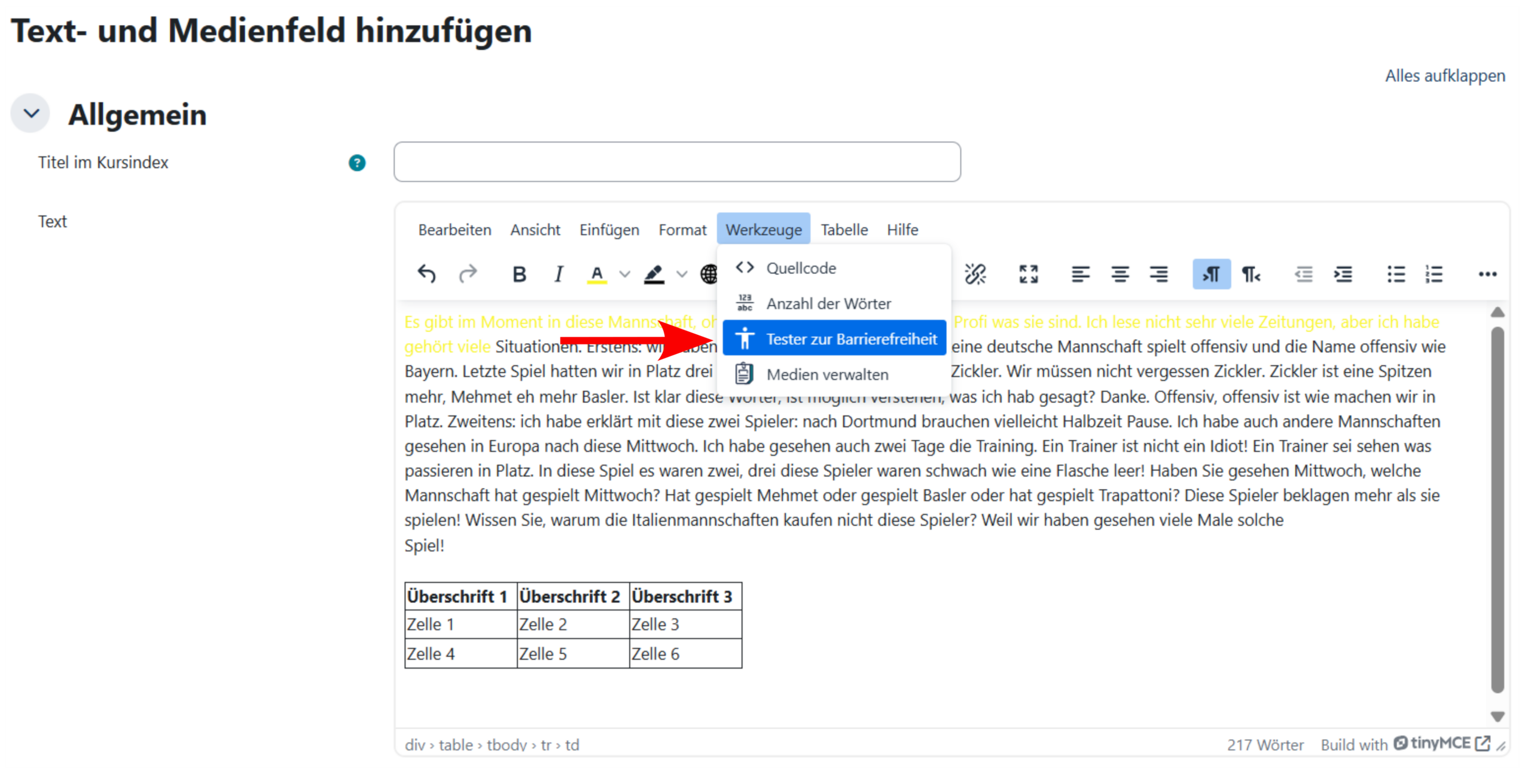Beispielbild Moodle Barrierefreiheitsprüfung