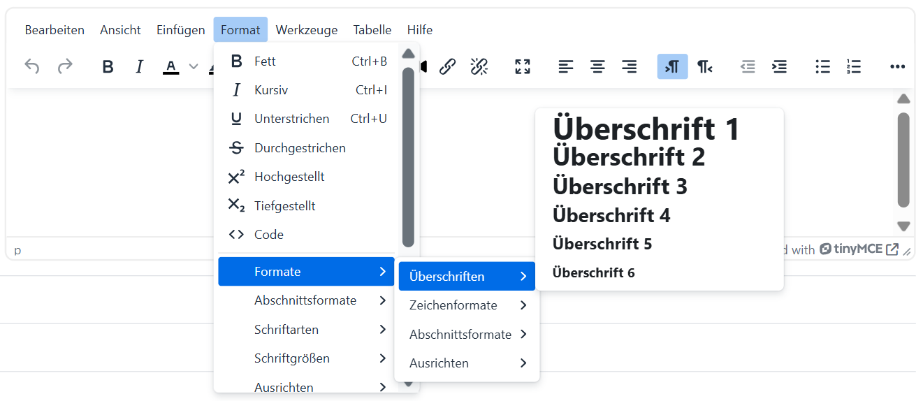 Beispielbild Moodle Textformate